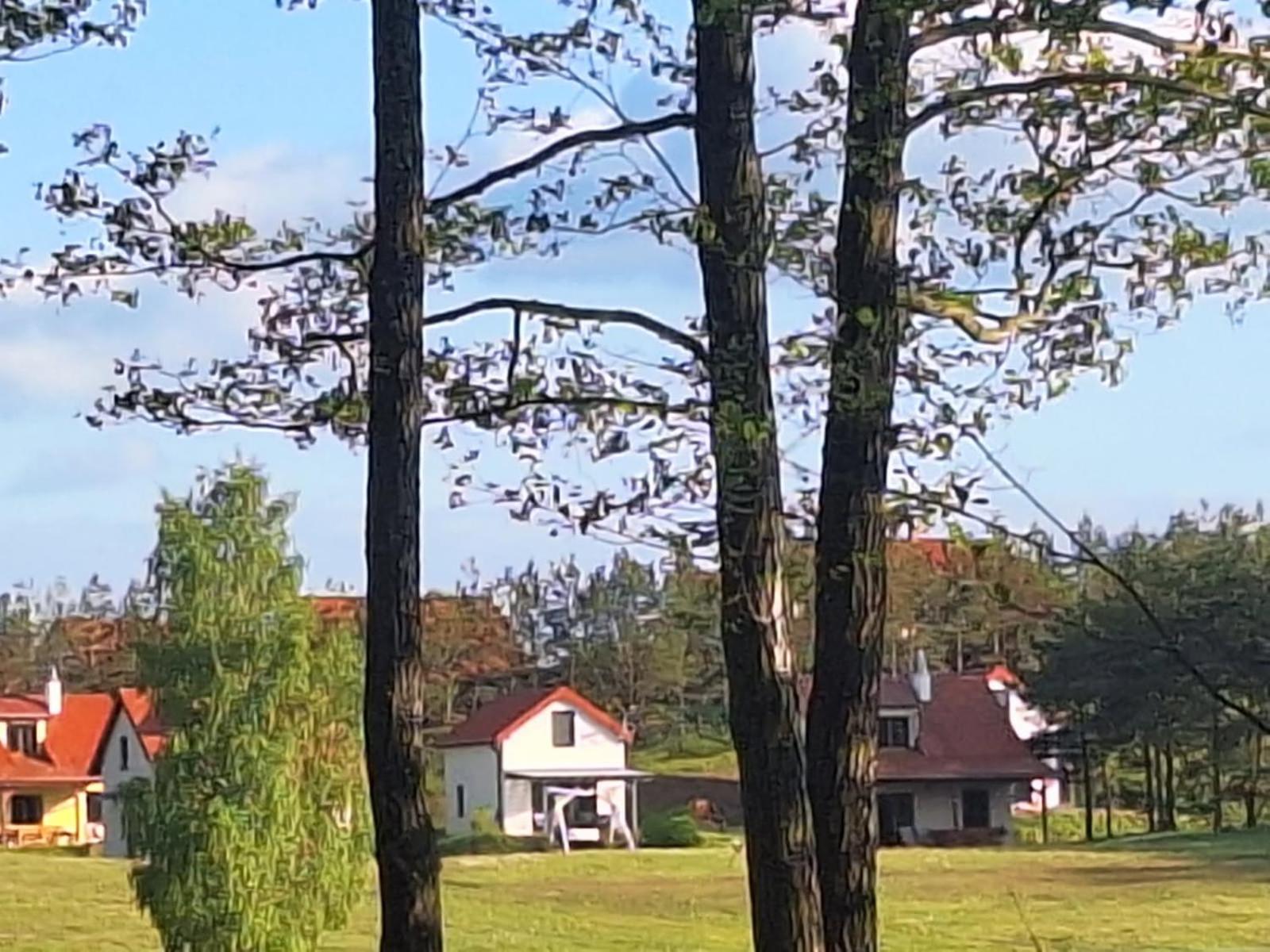 Posiadlosc Nad Zatoka Ryn  Oda fotoğraf